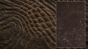 Fossil Ember: A Rug Shaped by Time, Not Trends