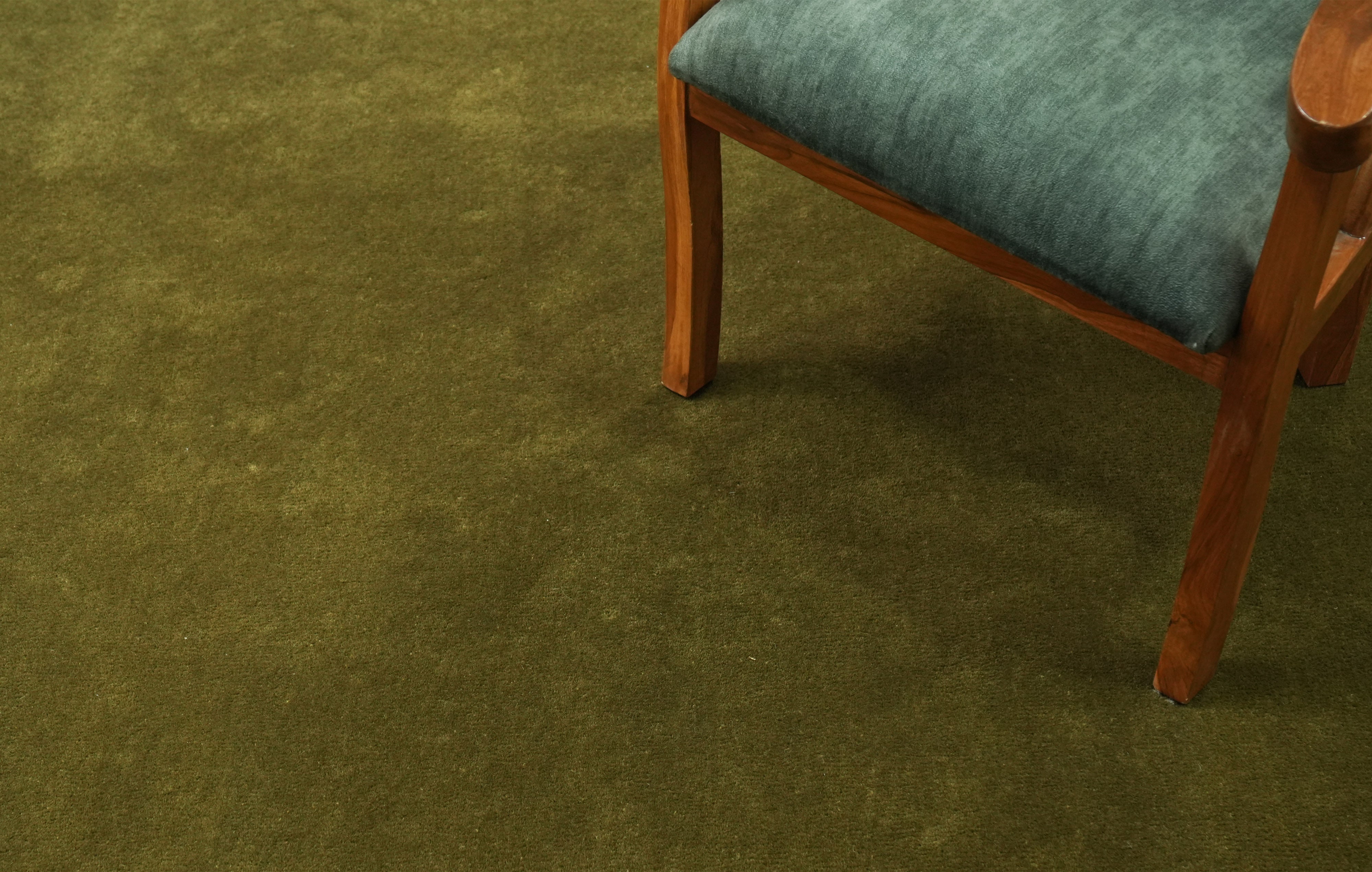 Olvane Border Rug