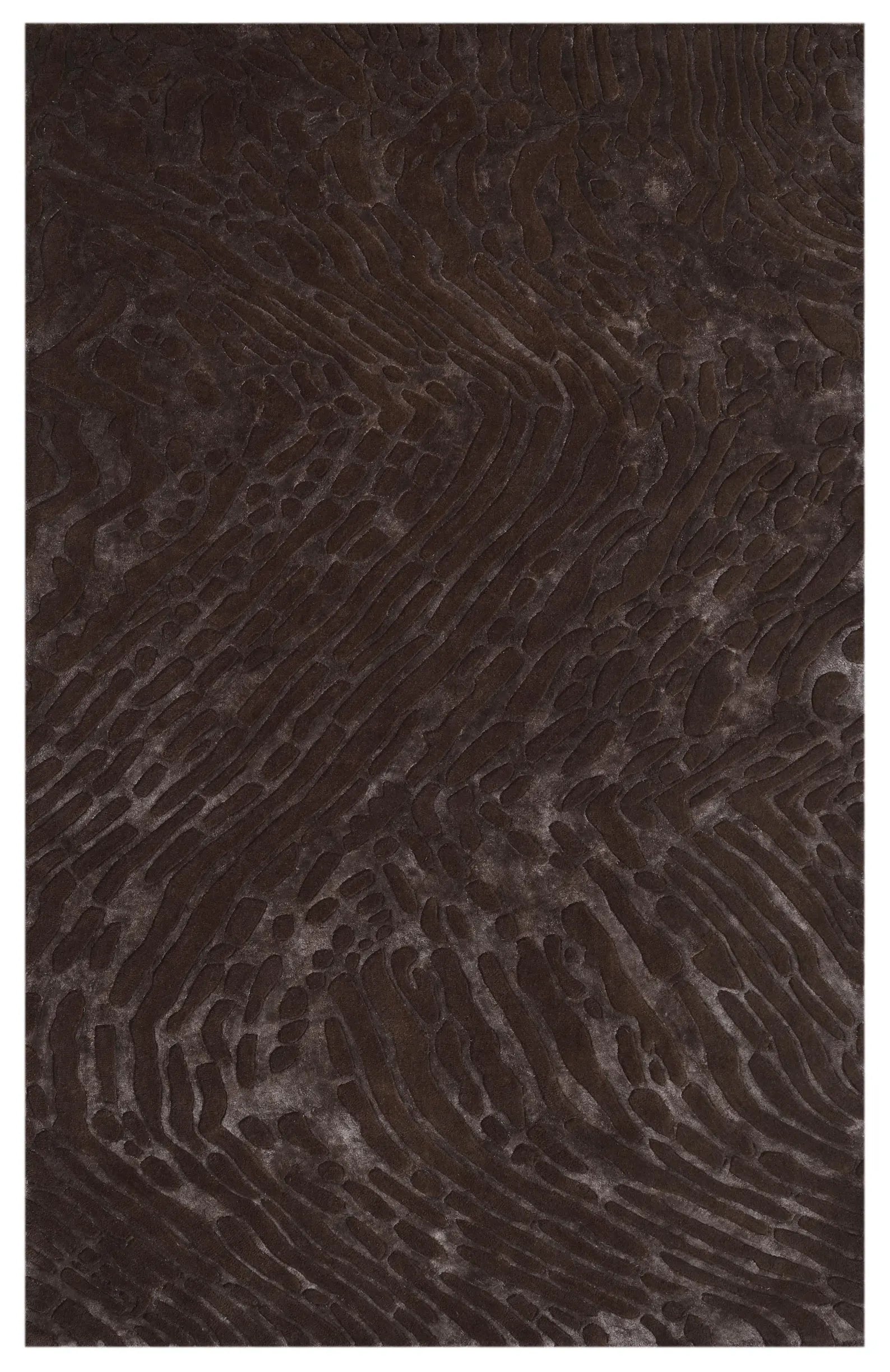 Full rectangular rug layout showcasing fossil-inspired embossed design.