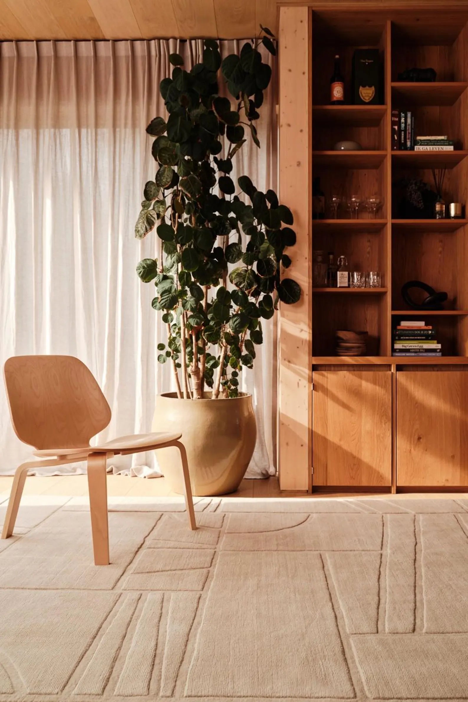 Silent Script hand tufted rug styled in a warm minimal room with natural light and soft neutral tone