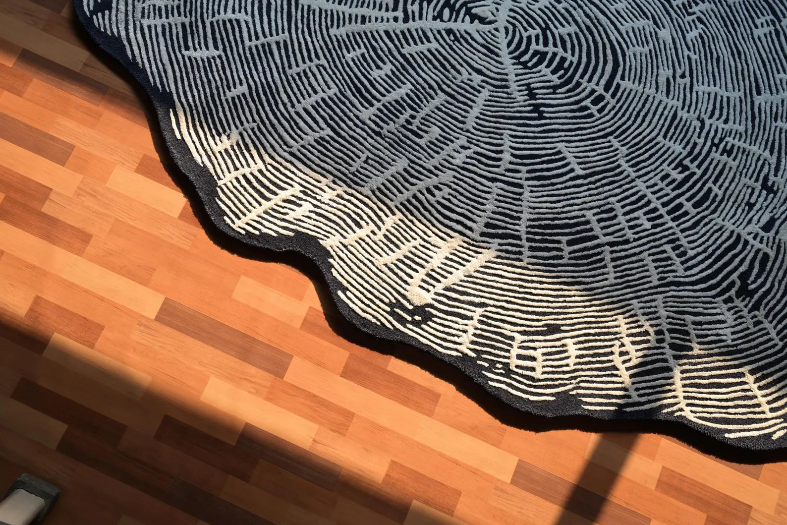 Hand tufted Sequoia Rug in a partial top view on a wooden floor featuring its white concentric line pattern and irregular dark organic shape under natural light.